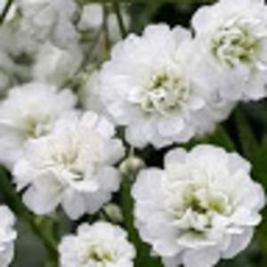 Meet your Posher, Kendallyn